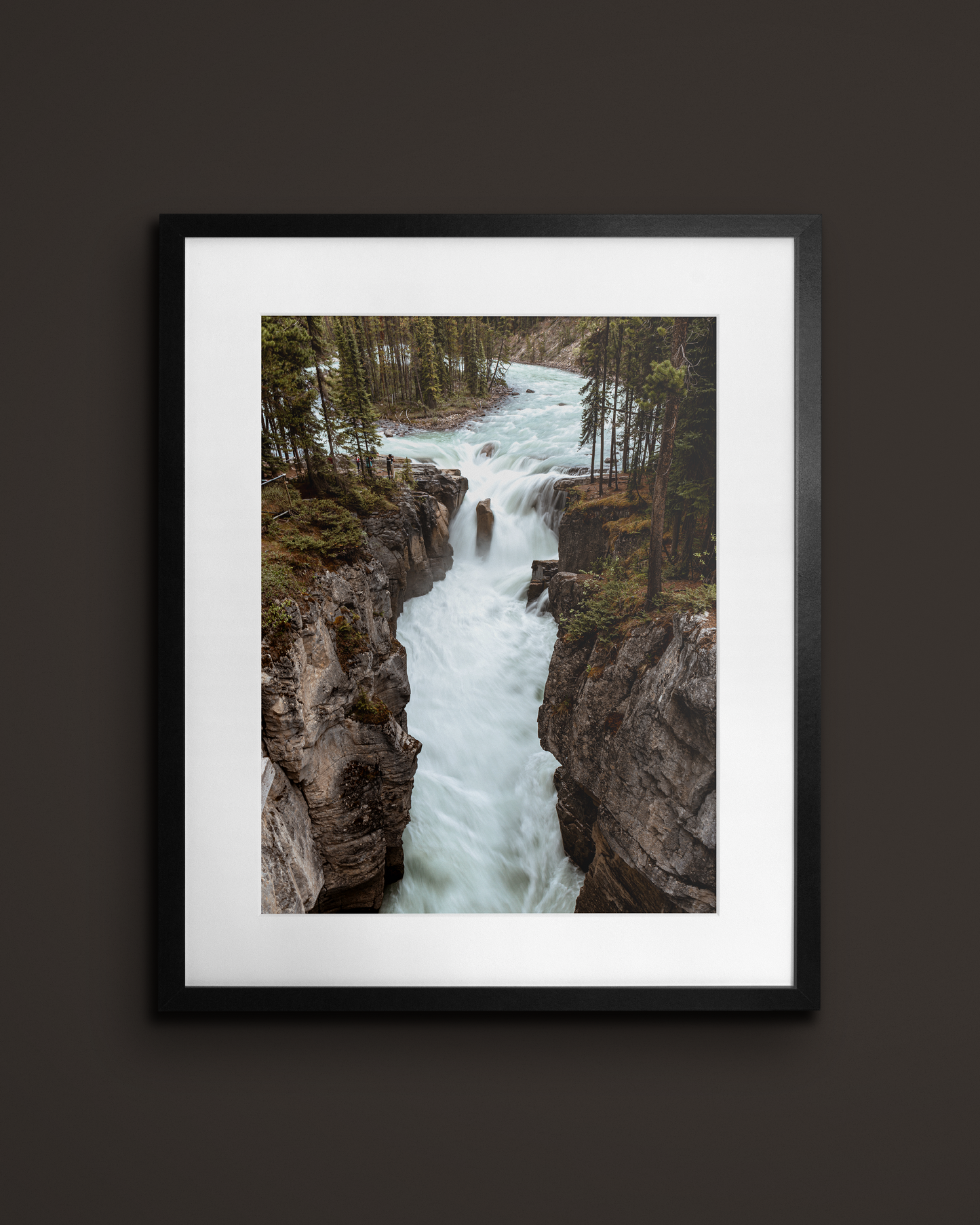 Sunwapta falls