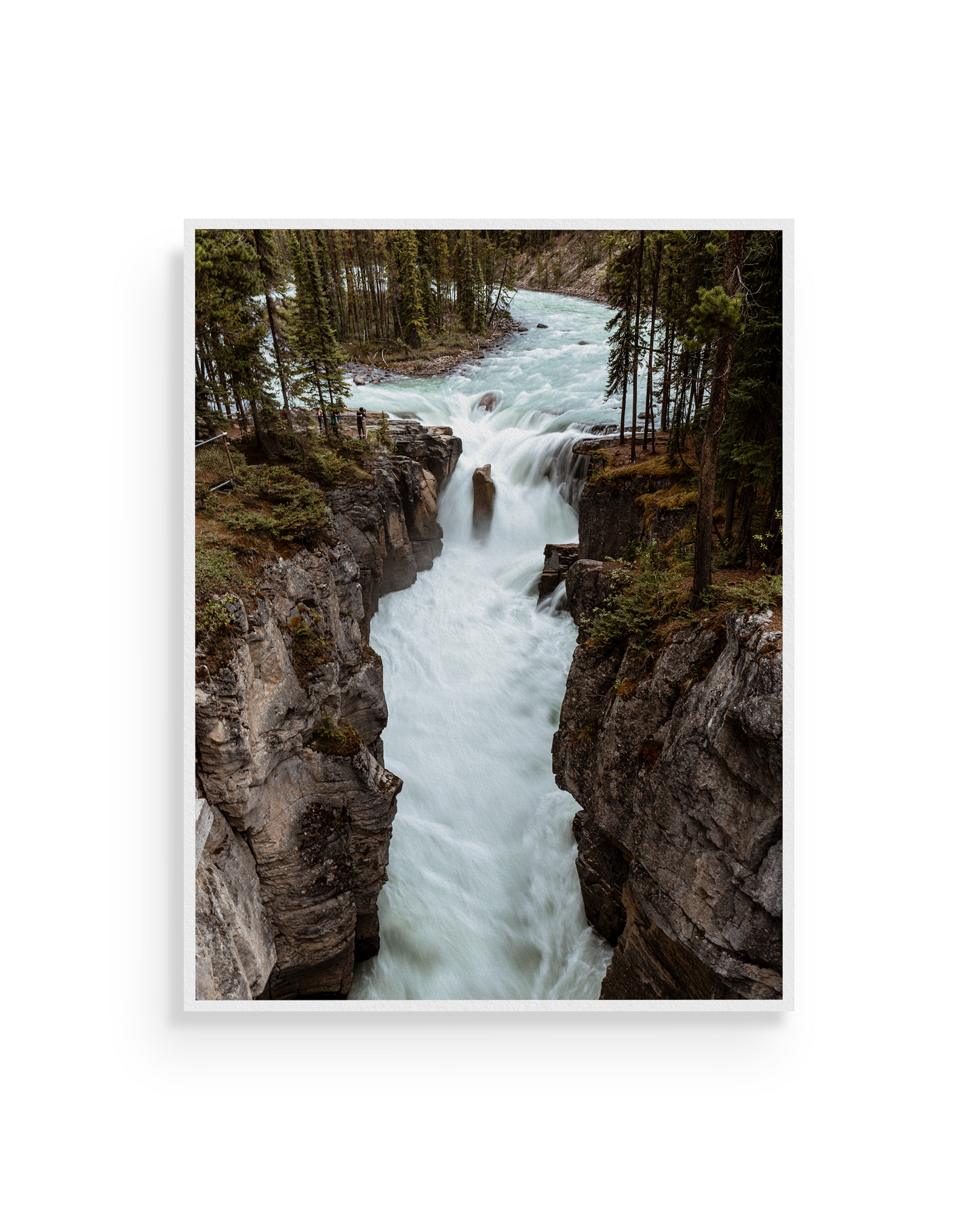 Sunwapta falls