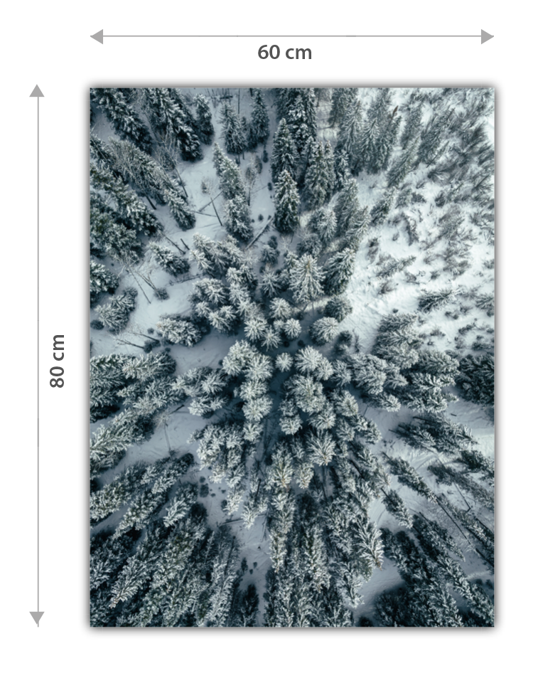 Size chart for the large size of the framed image
