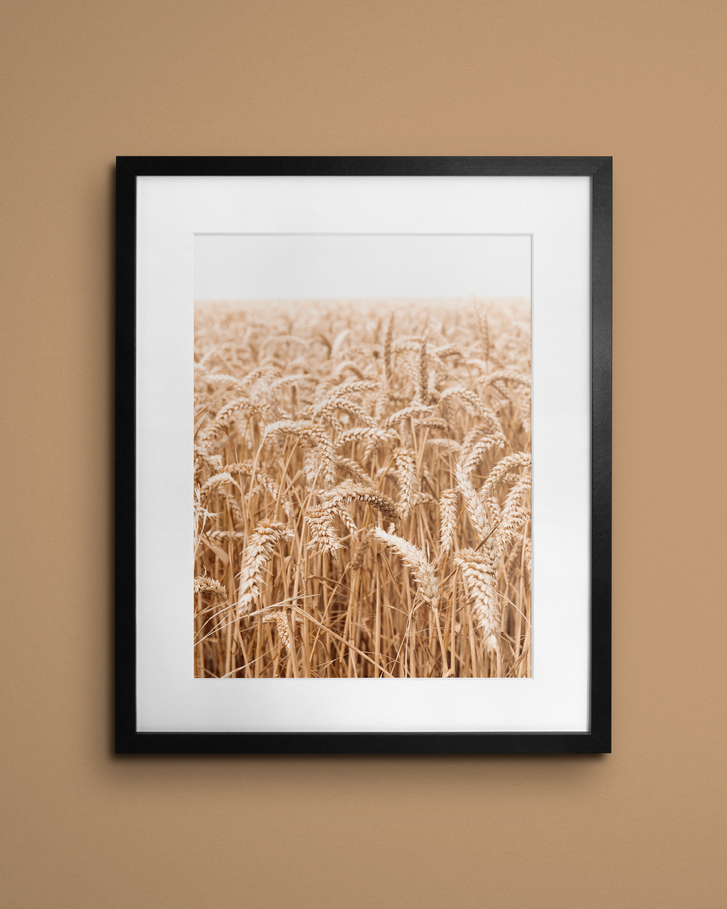 Grains des grandes dalles