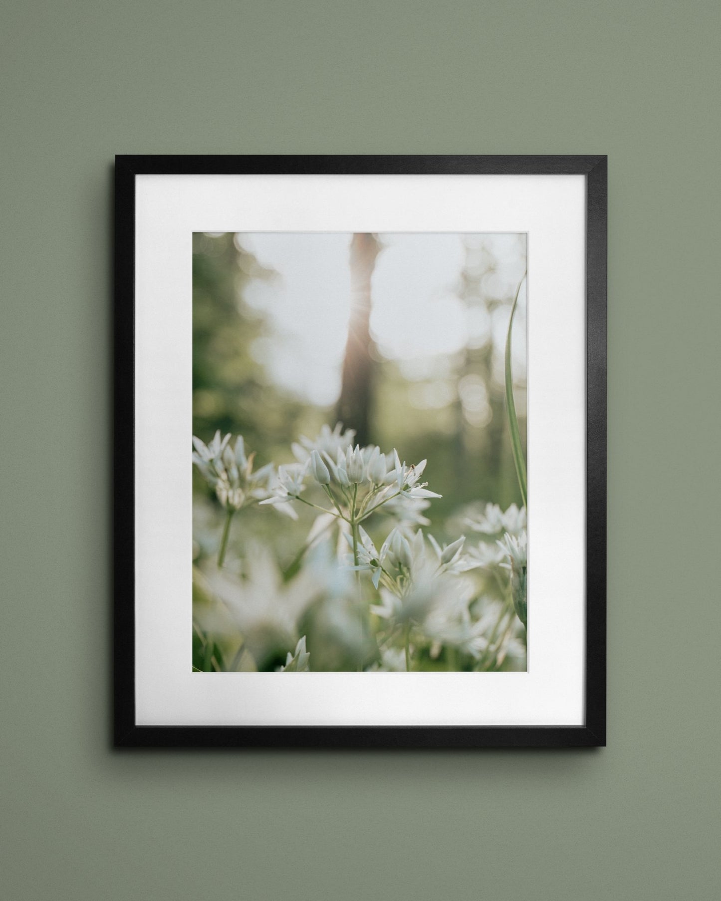 Fine-art print called Allium Ursinum from Kaj on the wall