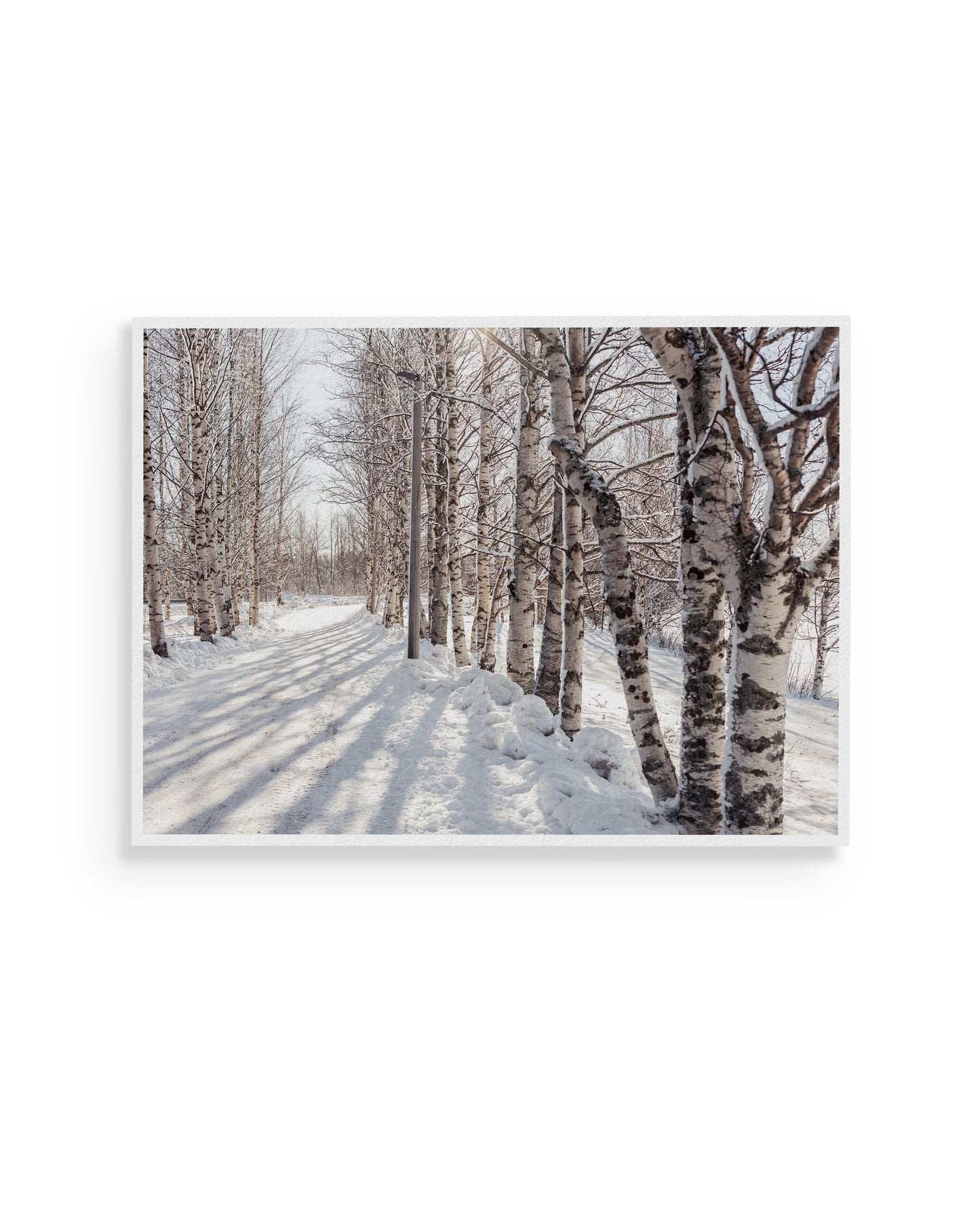 Fine-art print called Winter walk from Kaj on the wall