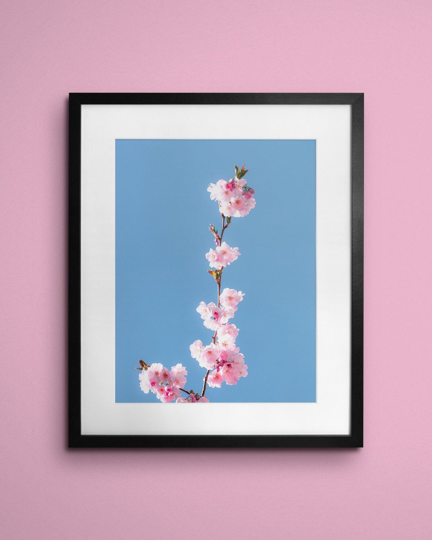 Fine-art print called First blossom from Kaj on the wall